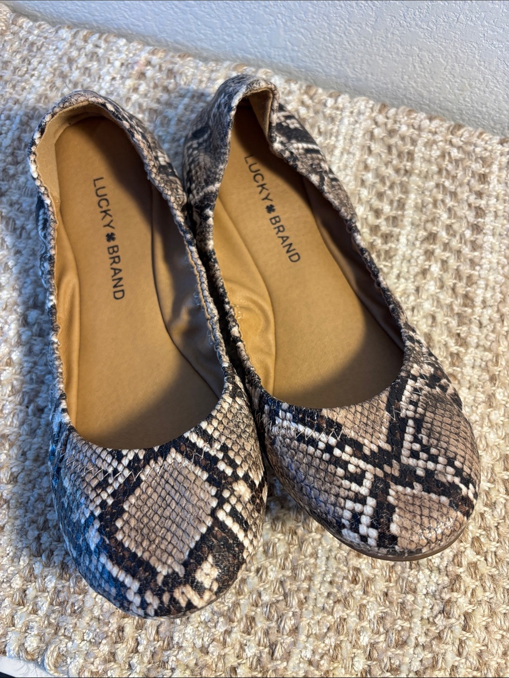 Lucky Brand Snake-Print Ballet Flats in Beige and Black (Size 7.5)